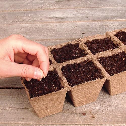 Jiffy Seed Starting Tray - Biodegradable, Plant Germination Cells - 20 Strips (200 Cells) - Peat - color: 20 Strips (200 Cells Total)