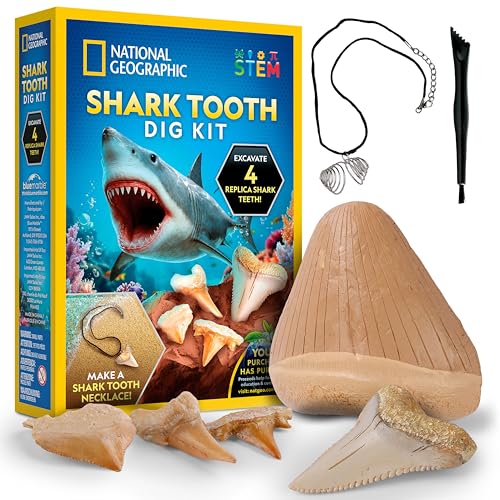 National Geographic Shark Tooth Fossil Dig Kit and Necklace for Kids