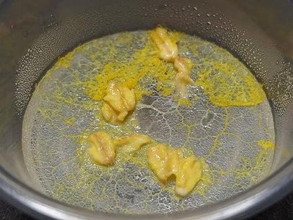 Mini Blob Kit - Slime Mold - Physarum polycephalum