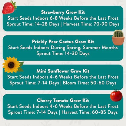 Modern Sprout Complimentary Color Grow Kits - Seed Starter Kit, Pack of 4 - size: Pack of 4