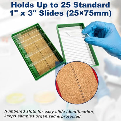 Microscope Slide Box, 25-Place, Cork Lining, Pack of 5 - size: Cork Lining