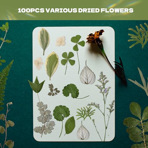 63 Pcs Pressed Leaves, 21 Styles Dried Flowers for Resin - size: 63 pcs White Leaf