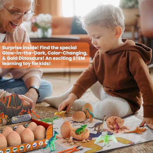 Zippytots Dinosaur Egg Dig Kit 12 Unique Eggs STEM Science Toy for Kids 3-8 | Premium Safe Material | Gold Glow & Color-Change Dinos | Complete STEM Dig Kit with Tools & Cards | Top Science Gift