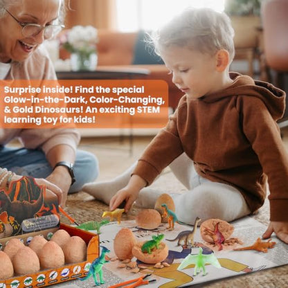 Zippytots Dinosaur Egg Dig Kit 12 Unique Eggs STEM Science Toy for Kids 3-8 | Premium Safe Material | Gold Glow & Color-Change Dinos | Complete STEM Dig Kit with Tools & Cards | Top Science Gift