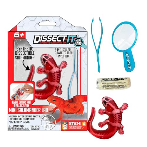 Top Secret Toys Dissect-It Mini Labs Salamander Dissection Kit for Kids, Realistic Synthetic Kids Science Kit - On, Biology and Animal Anatomy, STEM Toy, Ages 6+ - style: Mini Salamander