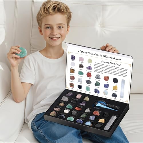 Rock Collection for Kids, 25PCS Crystal Gem Mineral Collection Set Box Gift for Boys and Girls, Natural Gemstone with Learning Guide Education Set