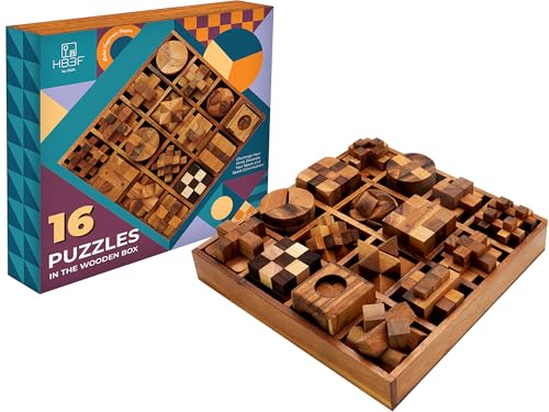 BSIRI 16 in 1 Wooden Brain Teaser Puzzles for Adults and Seniors Interlocking 3D Mini Wood Mind Games Hand Puzzle Teasers Set Toys Coffee Table Games Gift - style: 16 Puzzle Set