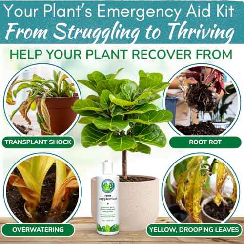 Root Rot Repair for Houseplants, Root Supplement & Recovery Drops, 8 oz