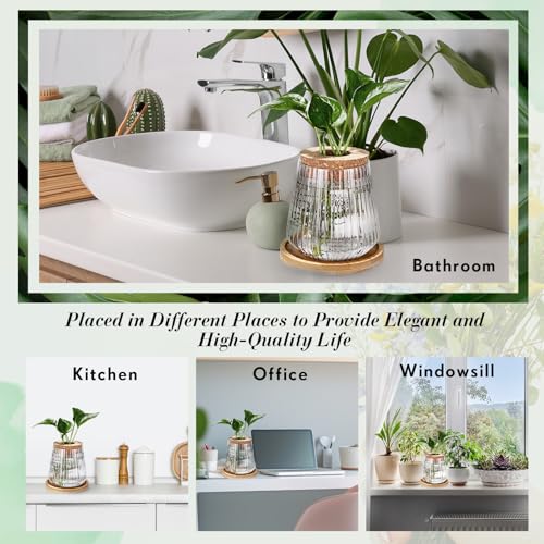 Baderke 12 Pack Propagation Vases for Plants, Vertical Grain Style - color: Vertical Grain Style