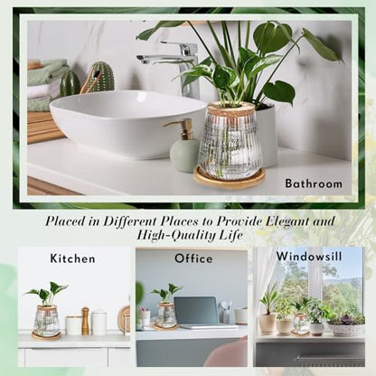Baderke 12 Pack Propagation Vases for Plants, Vertical Grain Style - color: Vertical Grain Style