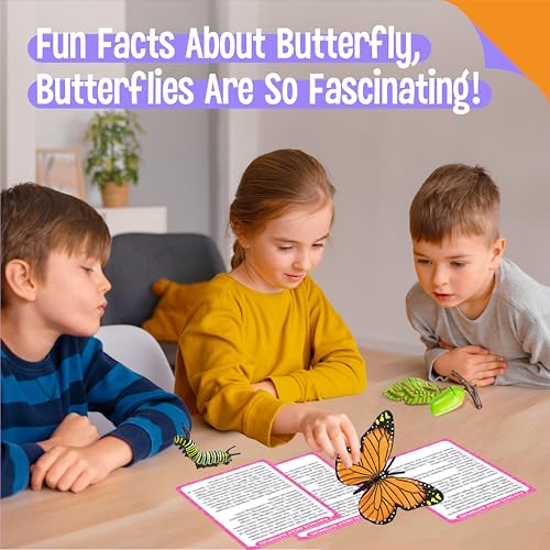 15 Butterfly Life Circle Flashcards with 4 Plastic Figurines, Butterflies Introduction Cards Plastic Insects Egg to Butterfly Kit Toy for Kids, Adults, Animal Lovers - style: Butterfly