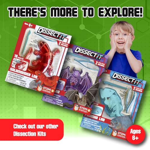 Dissect-It, Standard Frog Dissection Kit, STEM Toys for Kids, Ages 6+ - style: Frog