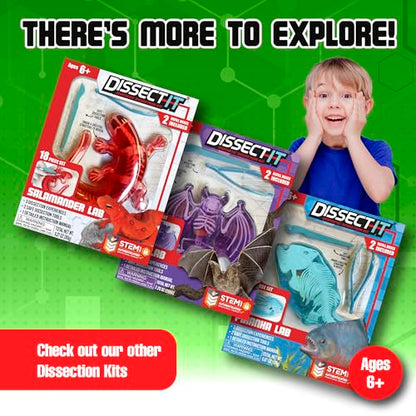 Dissect-It, Standard Frog Dissection Kit, STEM Toys for Kids, Ages 6+ - style: Frog