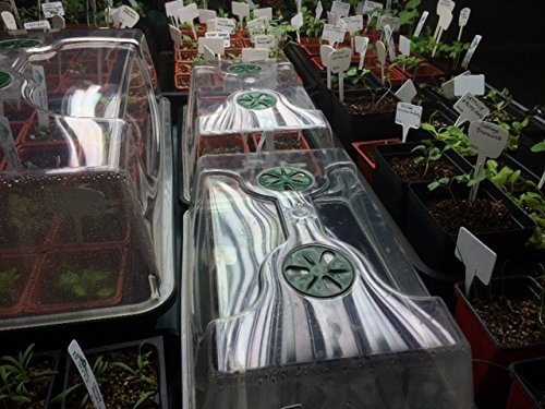 EarlyGrow 70738 Medium Domed Propagator, 15" x 9" x 7", Black/Dark Green - size: Medium without Extenders