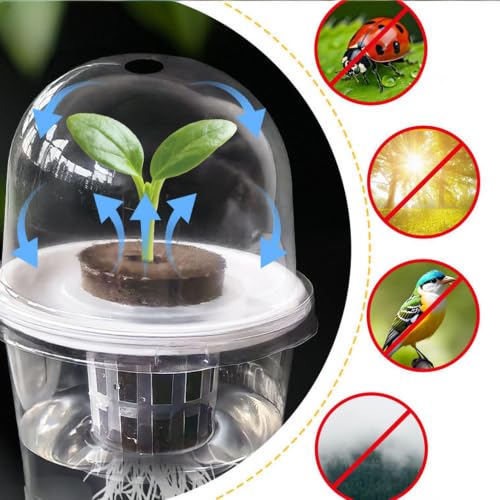 6 Pack Clear Hydroponic Nursery Pots with Humidity Dome for Seed Starting - color: Transparent-6 Pack