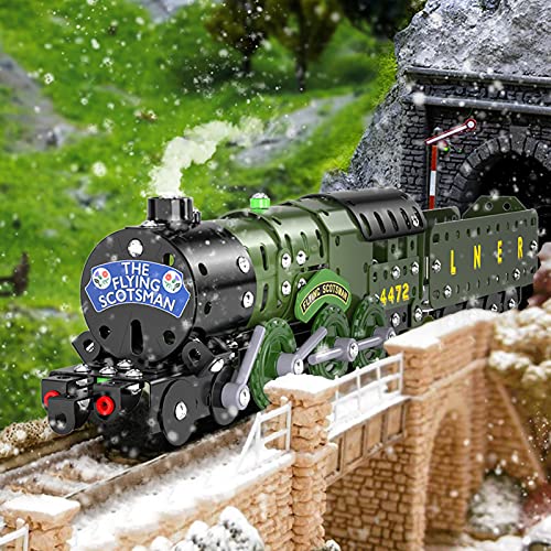 Lucky Doug STEM Building Projects Model Train Set Toys for Boys Kids 8 9 10 11 12 Years Old and Older - 340 PCS DIY Metal Building STEM Toys - style: 869-1