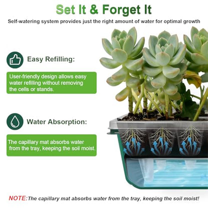 TONYFUL Seed Starter Tray with Grow Light, 120-Cell Seed Starter Kit with 4.07” Humidity Dome, Indoor Seedling Starter Tray, Seed Starting Tray for Plant Germination, Seeds Growing