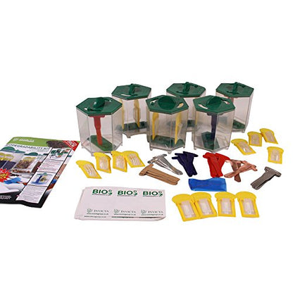 Didax Educational Resources Invicta 77883 Biodegradability Classroom Kit