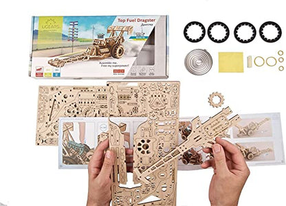 UGEARS Bundles 3D Puzzles - Dragster and Drift Cobra Racing Car,3D Puzzle Wooden 3-D Puzzles for Adults Model kit DIY Mechanical Puzzles