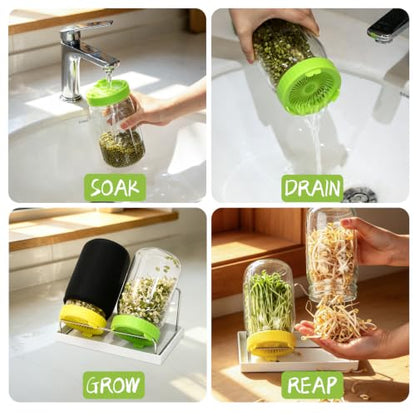 Seed Sprouting Kit & Green Onion Regrower, 2×32 Oz Wide-Mouth Mason Jars, Sprouter Lids, Stainless Steel Stand, Sprout Tray & Light Shield, Ideal for Sprouts, Broccoli, Alfalfa & Microgreens - color: Yellow + Green + Green Onion Regrower