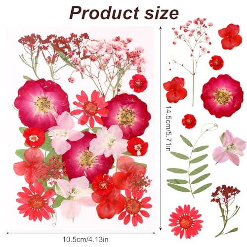 Dried Pressed Flowers Real Pressed Flowers Natural Dry Leaves Bulk Mixed Colorful Herbs Kit with Tweezers for Scrapbooking DIY Candle Jewelry Crafts Making Nails (Red) - color: Red