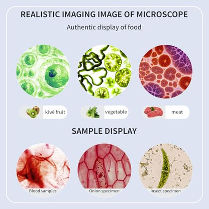 Trinocular Microscope 40x-2000x Magnification Double-Layer Stage with LED Lights on top and Bottom, Thick and Thin Dual Focusing knobs, Professional Biological Microscope (WiFi Electronic Eyepiece)