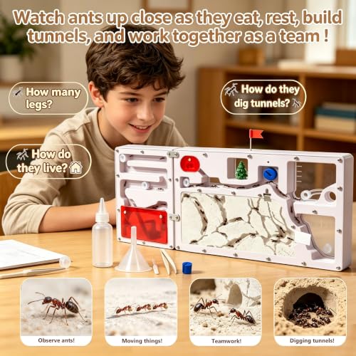 Giant Ant Farm with 2 Expansion Zones - Care Live Ants, Colony Farms Kit