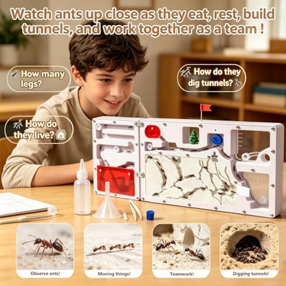 Giant Ant Farm with 2 Expansion Zones - Care Live Ants, Colony Farms Kit