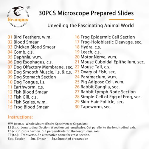 30 Prepared Microscope Slides with Specimens for Kids Students - Animal Microscope Slide Sets for Biological Lab, Children's Science Education, Homeschooling - style: 30PCS Animals