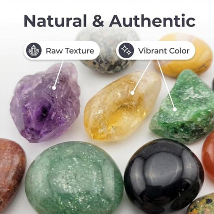 2lb 300+ Pcs 50Kinds Crystal and Gemstones Set Rocks Collection