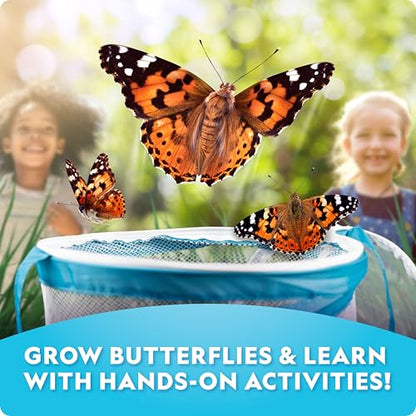 National Geographic Ultimate Butterfly Growing Habitat Kit for Kids - style: Ultimate Butterfly Kit