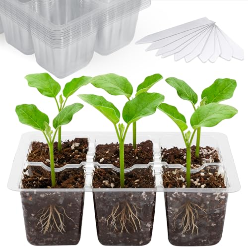 Bonviee 10-Pack Seed Starter Trays, 6-Cell Insert Trays, Clear - color: Clear, size: 60 XL Cells