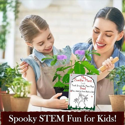 Zombie Plant Seed Packets – Grow a Live Sensitive Plant that Plays Dead When Touched! Indoor Plant Seeds & Educational STEM Activity | House Plant Seeds | Unique Garden Seeds – 2 Pack - style: Indoor Planting - 2 Pack