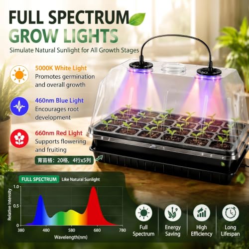 2 Sets 60-Cell Seed Starter Trays with Grow Lights, Heat Mat and Dome