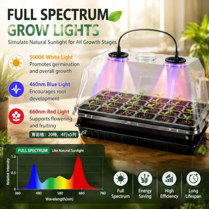 2 Sets 60-Cell Seed Starter Trays with Grow Lights, Heat Mat and Dome