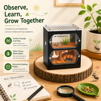 Terra Core S Dual View Ant Farm, Acrylic Formicarium Nest with Starter Kit, Double-Sided Observation Habitat with Moisture System for Ant Keepers, 3.93 x 2.36 x 4.52 in - size: Terra Core Series-DualView S