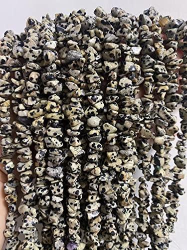 7-8mm Natural Dalmatian Jasper Gemstone Chips Healing Gravel Bracelets Necklace Kit Irregular Tumble Stone Beads DIY Crafts Design Jewelry Making 32" - color: Dalmatian Jasper