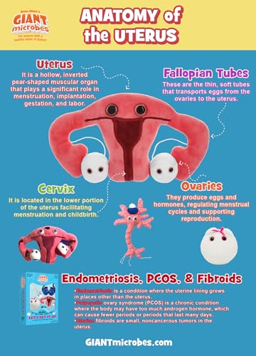 GIANTmicrobes Uterus Plush -Stuffed Uterus with Magnetic Detachable Ovaries - size: Regular