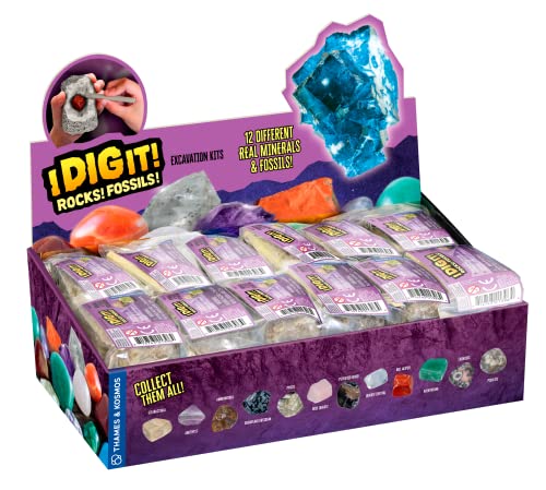 Thames & Kosmos I Dig It! Rocks & Fossils Excavation Gift Set | 24 Excavation Kits w/Mineral & Fossil Specimens | Party Favors, Stocking Stuffer, Easter Baskets | Collect 12 Unique Specimens | EN/FR