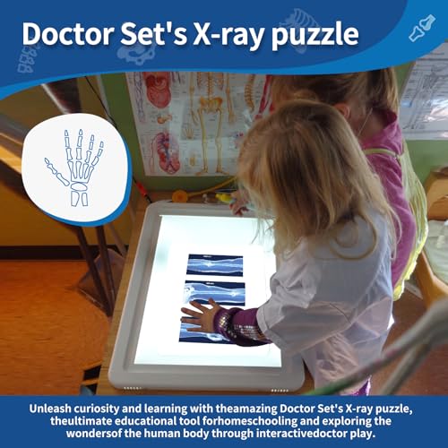 Human X-Rays for Kids' Light Table - 14-Piece Skeleton Puzzle & 7 Body System Charts (Nerves, Vessels, Lymphatic) - X-Ray Toys for Kids, STEM Toy for Light Table, School Projects & Doctor Role Play