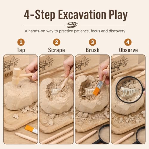 Homoyoyo Archaeology Kit for Kids Dinosaur Digging Kit with 3 Wooden Hammers 3 Wooden Chisels 3 Wood Brushes and 3 Magnifiers Educational Digging Tools for Science Learning and Hands on Play