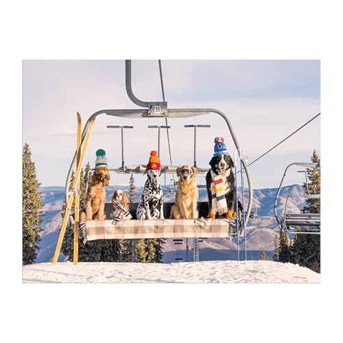 Gray Malin Chairlift Pups Aspen 1000 Piece Puzzle, Collector Book Box - color: Colorful