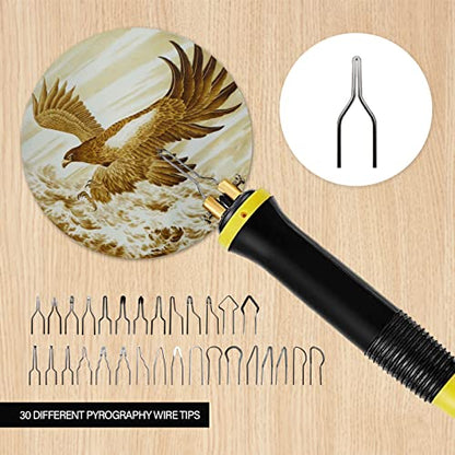 FIRElood Wood Burning Tool,Wood Burning kit Pen 25~750℃,Professional Wood Burning kit,with Digital Thermometer Temperature Adjustable Temperature,1 Wood Burning pens, 30 Wood Burning Pen Tips - color: LH40-1 NEW