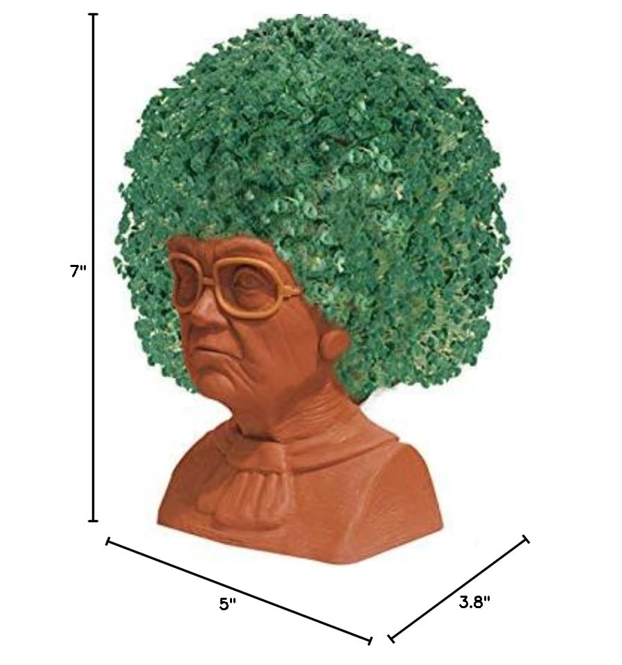 Chia Pet Golden Girls Sophia Terracotta Planter with Seed Pack - style: Golden Girls - Sophia