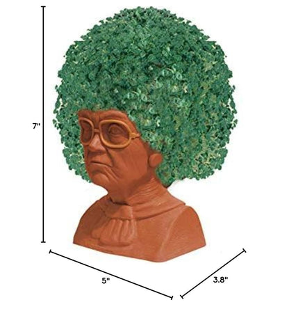 Chia Pet Golden Girls Sophia Terracotta Planter with Seed Pack - style: Golden Girls - Sophia