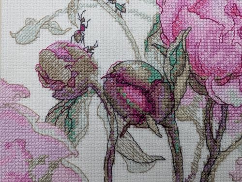 Aine A1009 Peonies. Delight Counted Cross Stitch Kit 7 x 6 in - size: Peonies. Delight