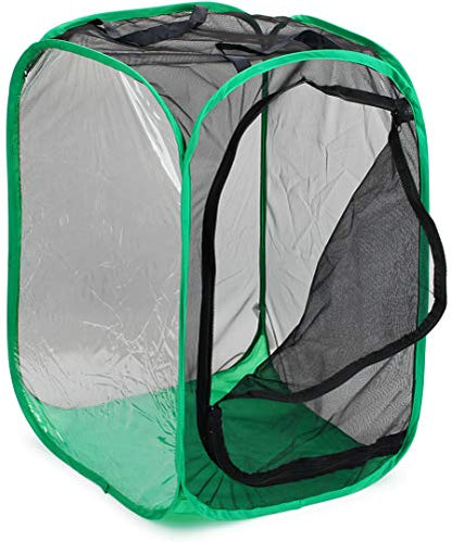 RESTCLOUD 36" Large Monarch Butterfly Habitat, Giant Collapsible Insect Mesh Cage Terrarium Pop-up 24 x 24 x 36 Inches - color: Black with Green