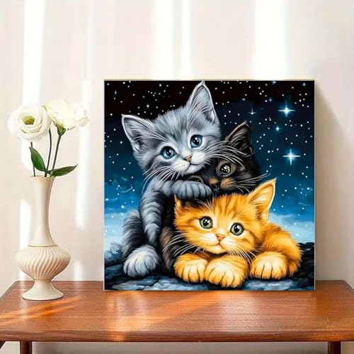 5D Starry Cat diamond art kits For adults,DIY Dimond Art Paintings Kits - color: YP075