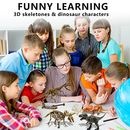 Dinosaur Fossil Digging Kit for Kids, Dinosaur Eggs Excavation Kit, Dino Fossil Dig Kit, Great STEM Science Kit Gifts