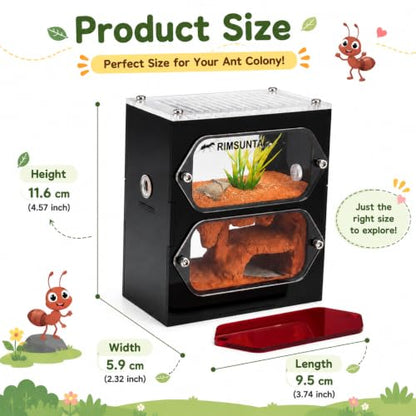 Terra Core S Dual View Ant Farm, Acrylic Formicarium Nest with Starter Kit, Double-Sided Observation Habitat with Moisture System for Ant Keepers, 3.93 x 2.36 x 4.52 in - size: Terra Core Series-DualView S